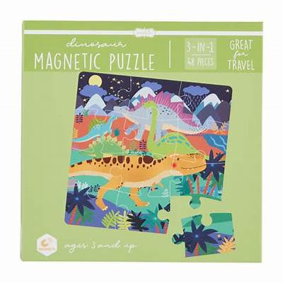 Magnetic Puzzle Sets