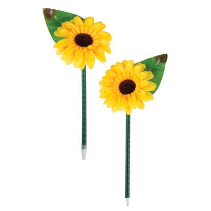 Sunflower Pen 12/tub