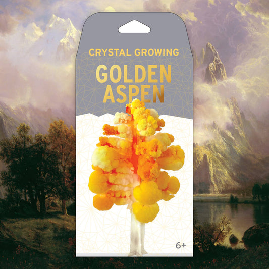 Crystal Growing Aspen | 
Craft Kit Science Kit Fall Craft