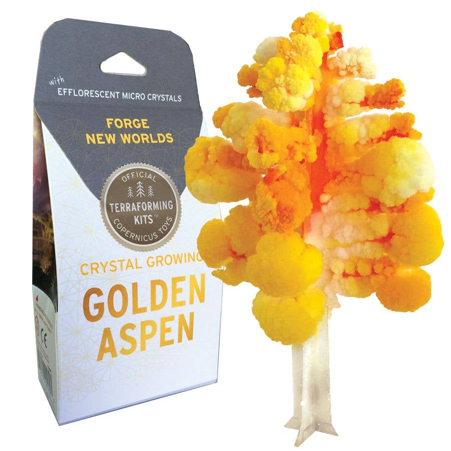 Crystal Growing Aspen | 
Craft Kit Science Kit Fall Craft