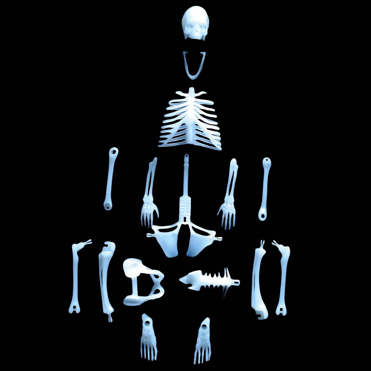 Glow In The Dark Human Skeleton Model |
Compact Curiosities 