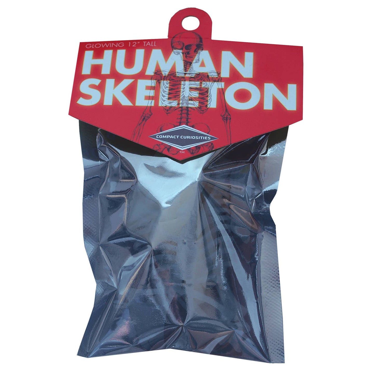 Glow In The Dark Human Skeleton Model |
Compact Curiosities 